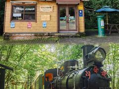 -五营红松林海景区