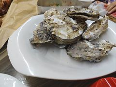 生蚝-赵老蒯土窑坑烤