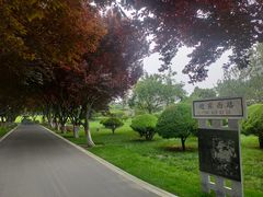-石家庄市植物园