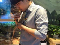 -Mr·Kuma酷么先生雪之乐园