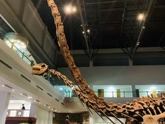 -自贡恐龙博物馆