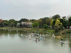 -海珠湖公园