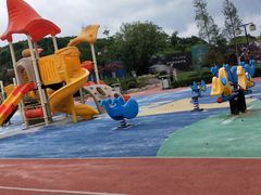 -铁山坪森林公园