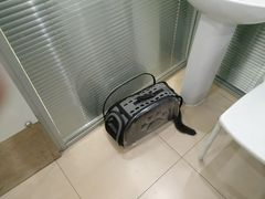 -美迦爱-牙专科·兔科·骨科诊疗中心(北苑店)