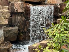 -水绘园