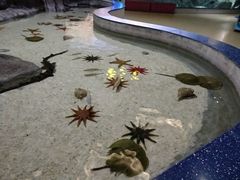 -福州罗源湾海洋世界旅游区