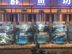 -老船舫·现做活鲜鱼馆(东郊记忆店)