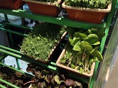 -海鸿荟餐饮(中山北路店)