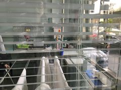 -纳吉亚猫专科动物医院博雅分院