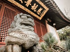 -上海东林寺(金山区)