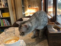 -隅cafe(傅厚岗店)