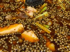 -首秀·四川料理(星耀101店)