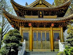 -上海东林寺(金山区)