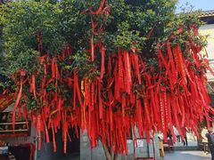 -东钱湖小普陀景区