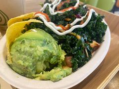-油梨树 AVOCADO TREE(亮马桥店)