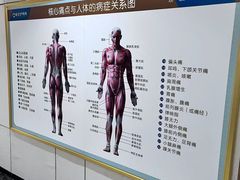 -通透堂中医·精准推拿(旗舰店)