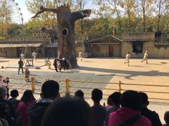 -云幽谷旅游区
