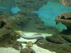 -北戴河圣蓝海洋公园