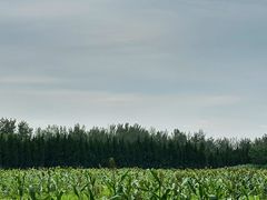 -汉长安城未央宫国家考古遗址公园