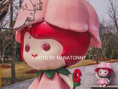 -顾村公园