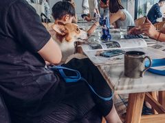 -the rug 飞毯 (朝阳公园店)