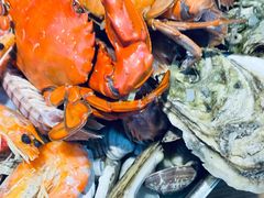 -鲁前海沿儿