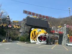 -栾川竹海野生动物园