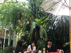 -Fern Forest Cafe