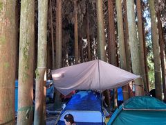 -武陵山森林公园