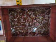 -瑞记湛江鸡饭店·粤西第一鸡(粤垦店)
