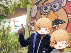 -奥兰多迪士尼动物王国乐园