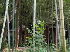 -同里国家湿地公园