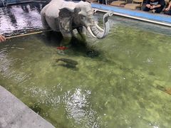 -光头佬钓虾场·烧烤·聚餐·亲子(金沙洲店)