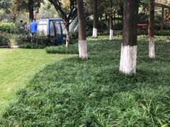 -成飞公园