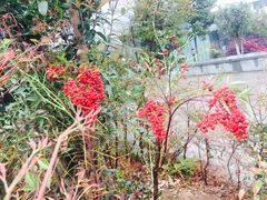 -齐汇维景大酒店游泳馆(山东政协大厦齐汇维景)