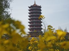 -皇罗禅寺