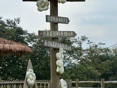 -龙岩森林水乡景区