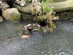 -普陀山风景名胜区-法雨禅寺