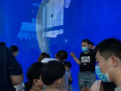 -泉城欧乐堡海洋极地世界