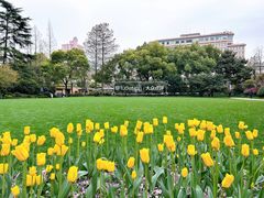-静安公园(静安寺街道)