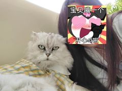 -小时光咖啡馆(北锣鼓巷店)