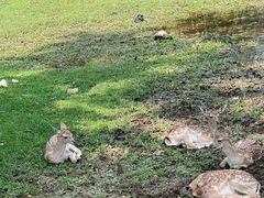 -秦皇岛野生动物园