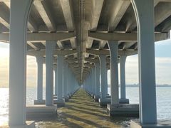 -宝安西湾红树林湿地公园