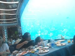 -瑞德姆美人鱼海底演艺主题餐厅(亚龙湾店)
