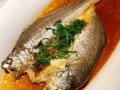 大黄鱼-麟1929(外滩店)