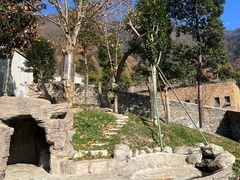 -卧龙中华大熊猫苑神树坪基地