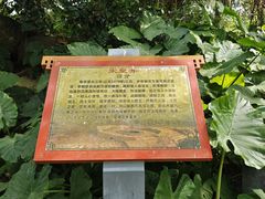 -硇洲岛旅游区