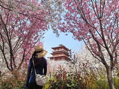 -古柏渡飞黄旅游区