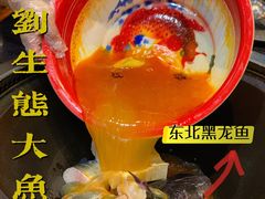 -老刘生态大鱼坊铁锅炖鱼(赛马场店)