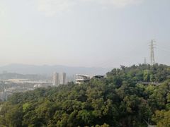 -金鸡山公园